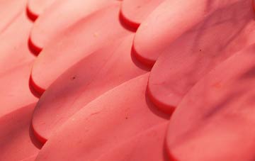 Lealt plastic roof costs