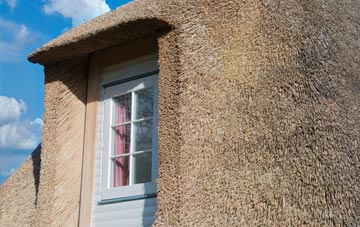 Lealt thatch roof disadvantages